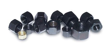 ARP 5/16-18 black coarse hex nut kit